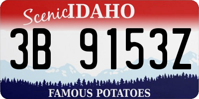ID license plate 3B9153Z