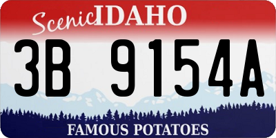 ID license plate 3B9154A
