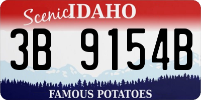 ID license plate 3B9154B