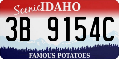 ID license plate 3B9154C