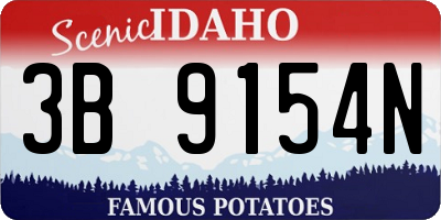 ID license plate 3B9154N