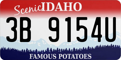 ID license plate 3B9154U