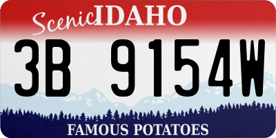 ID license plate 3B9154W