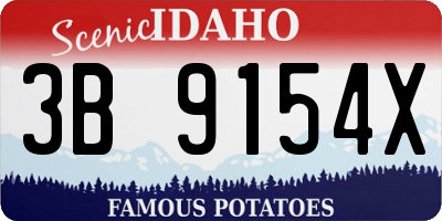 ID license plate 3B9154X