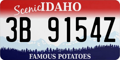 ID license plate 3B9154Z
