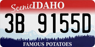 ID license plate 3B9155D