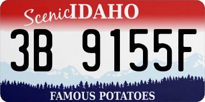 ID license plate 3B9155F