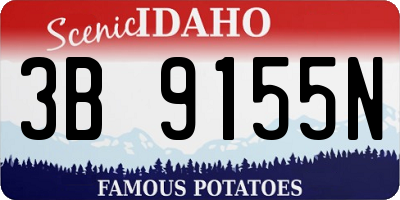 ID license plate 3B9155N