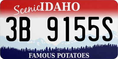 ID license plate 3B9155S