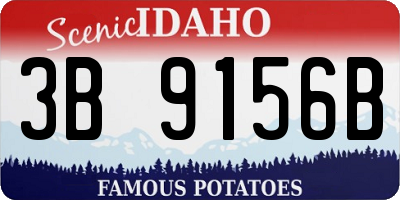 ID license plate 3B9156B
