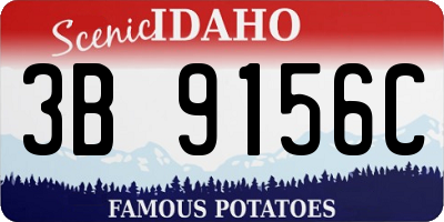 ID license plate 3B9156C