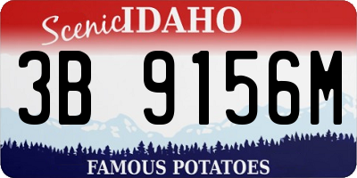 ID license plate 3B9156M