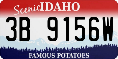 ID license plate 3B9156W
