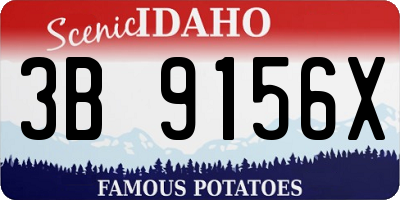 ID license plate 3B9156X