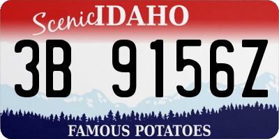 ID license plate 3B9156Z