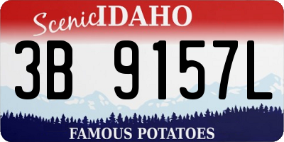 ID license plate 3B9157L