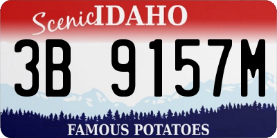 ID license plate 3B9157M
