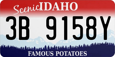 ID license plate 3B9158Y