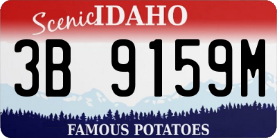 ID license plate 3B9159M
