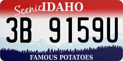 ID license plate 3B9159U