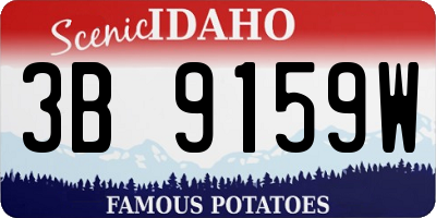 ID license plate 3B9159W