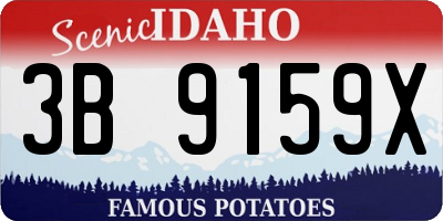 ID license plate 3B9159X