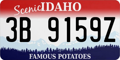 ID license plate 3B9159Z