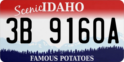 ID license plate 3B9160A