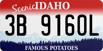 ID license plate 3B9160L