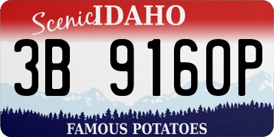 ID license plate 3B9160P