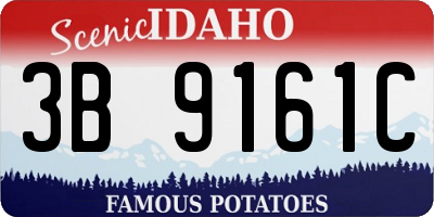 ID license plate 3B9161C