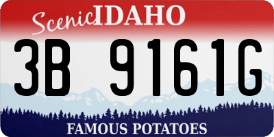ID license plate 3B9161G