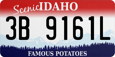 ID license plate 3B9161L