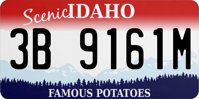 ID license plate 3B9161M