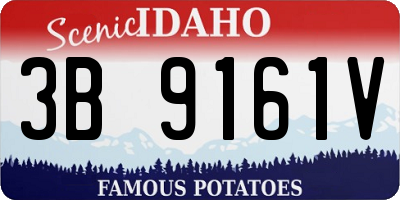 ID license plate 3B9161V