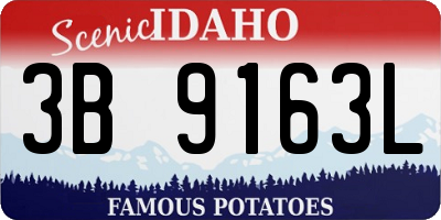ID license plate 3B9163L