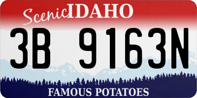 ID license plate 3B9163N