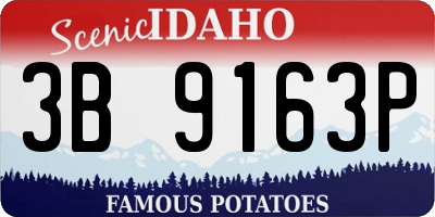 ID license plate 3B9163P