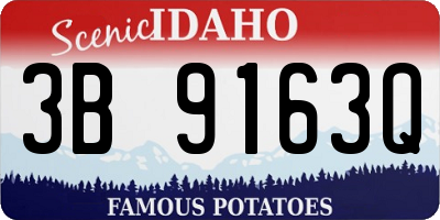 ID license plate 3B9163Q
