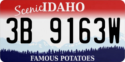 ID license plate 3B9163W