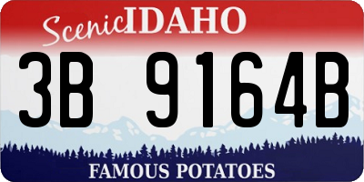 ID license plate 3B9164B