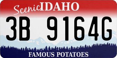 ID license plate 3B9164G