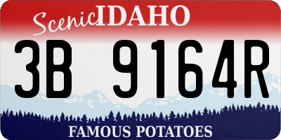 ID license plate 3B9164R