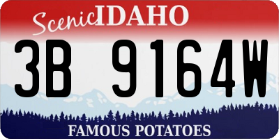 ID license plate 3B9164W