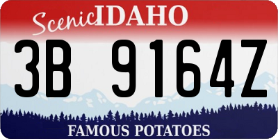 ID license plate 3B9164Z