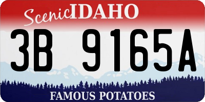 ID license plate 3B9165A
