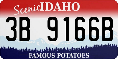 ID license plate 3B9166B