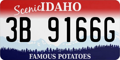 ID license plate 3B9166G