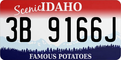 ID license plate 3B9166J