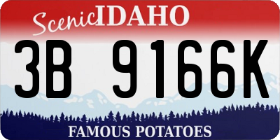 ID license plate 3B9166K